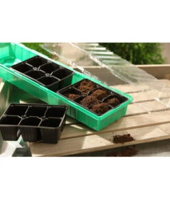 Dehner Zimmergewächshaus Frans, 54 X 15 X 12 Cm 7 Dehner Zimmergewächshaus Frans, 54 X 15 X 12 Cm -Biohort || Compo || Elho Verkäufe 207456 BildM 001 RombergZimmergewaechshausFransFensterbGewH54X15x12