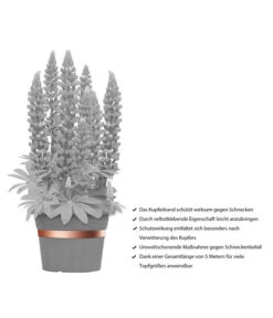 Dehner Bio Schneckenband Kupfer, 5 M 9 Dehner Bio Schneckenband Kupfer, 5 M -Biohort || Compo || Elho Verkäufe 2536555 WE IG 001 DehnerBioSchneckenbandKupfer5m