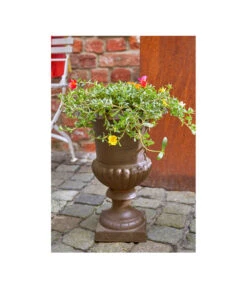 Esschert Design Französische Pflanzvase Aus Gusseisen, Dunkelbraun 10 Esschert Design Französische Pflanzvase Aus Gusseisen, Dunkelbraun -Biohort || Compo || Elho Verkäufe 2542637 WE MO 003 FranzoesischeVaseausGusseisenrostfarbenVaseBlumenvaseTopfBlumentopfPflanzvasePflanztopfPflanzgefaess