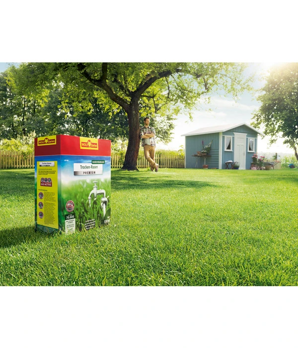 Wolf-Garten Trocken-Rasen Premium L-TP 4 Wolf-Garten Trocken-Rasen Premium L-TP – Bild 2