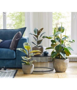 Dehner Keramik-Übertopf Kenia, Konisch, Braun -Biohort || Compo || Elho Verkäufe 2906469 WE MO 001 TopfKeniaBraun