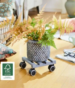 Wagner Pflanzenroller Creo, Ø 19 Cm -Biohort || Compo || Elho Verkäufe 2913945 WE MO 002 MULTIROLLERCREO