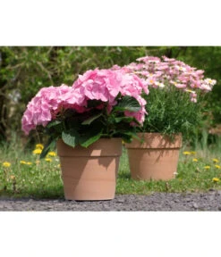 Spang Terrakotta-Pflanzgefäß Calima -Biohort || Compo || Elho Verkäufe 2919595 2919652 2919694 2919736 2919835 2919843 WE FS 001 TerrakottaTopfCalimaantik