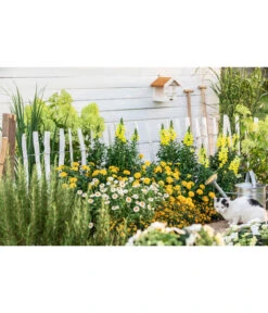 Naturzaun Haselnuss, Ca. 5 M 7 Naturzaun Haselnuss, Ca. 5 M -Biohort || Compo || Elho Verkäufe 3003936 WE MO 005 NaturzaunHaselnuss 5m