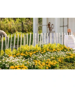 Naturzaun Haselnuss, Ca. 5 M 9 Naturzaun Haselnuss, Ca. 5 M -Biohort || Compo || Elho Verkäufe 3003936 WE MO 007 NaturzaunHaselnuss 5m