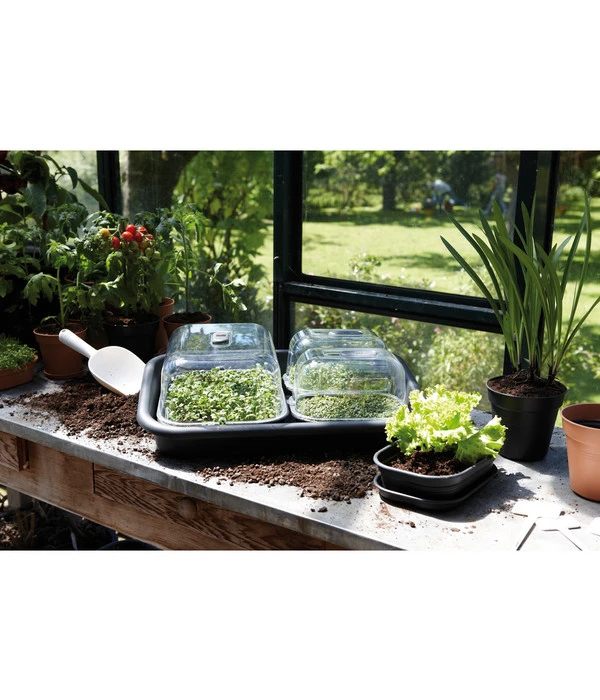 Elho Anzuchtschale M 4 Elho Anzuchtschale M – Bild 2