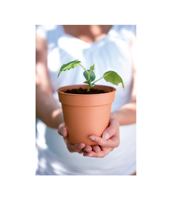 Elho Starter-Set Töpfe, 10 Stück 4 Elho Starter-Set Töpfe, 10 Stück – Bild 2