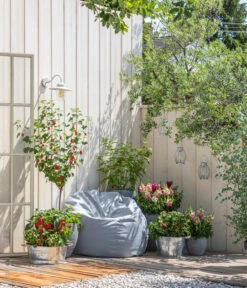 Zink-Pflanzkübel, Ø 36 Cm -Biohort || Compo || Elho Verkäufe 323618 WE MO 001 ZinkPflanzkuebel