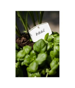 Elho Pflanz-Stift, 5 Stück -Biohort || Compo || Elho Verkäufe 3266806 MO FS 001 PflanzstiftMweissElhoEtikett