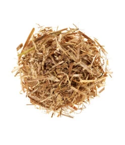 Pilzmännchen Bio Pilzzuchtset Austernpilz 6 Pilzmännchen Bio Pilzzuchtset Austernpilz -Biohort || Compo || Elho Verkäufe 3940285 BildD 001 PilzmaennchenBioHomePilzzuchtsetAusternpilzPilzbrutAusternpilzSet