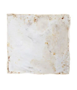 Pilzmännchen Bio Pilzzuchtset Austernpilz 7 Pilzmännchen Bio Pilzzuchtset Austernpilz -Biohort || Compo || Elho Verkäufe 3940285 BildD 002 PilzmaennchenBioHomePilzzuchtsetAusternpilzPilzbrutAusternpilzSet