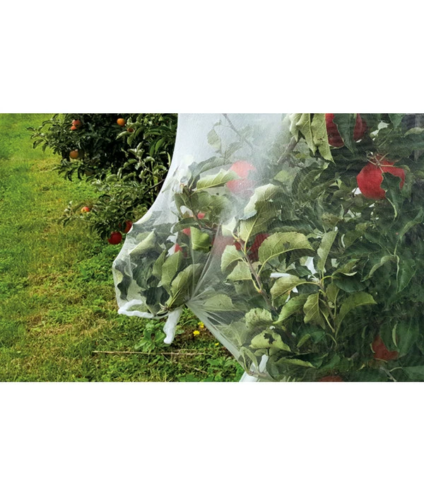 Dehner Insektenschutz-Netz, 2,1 X 5 M 4 Dehner Insektenschutz-Netz, 2,1 X 5 M – Bild 2