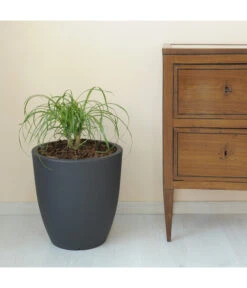 Farmet Kunststoff-Topf-Set Orione Alto, Rund, Anthrazit, 2-teilig -Biohort || Compo || Elho Verkäufe 4109195 WE DE 002 ORIONEALTOHoherRunderPflanzkuebelDurchmesser50cm50cmhochDUNKELANTHRAZIT