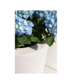 Fleur Ami Polystone-Pflanzgefäß Conical, Konisch, Ca. Ø43/H80 Cm 13 Fleur Ami Polystone-Pflanzgefäß Conical, Konisch, Ca. Ø43/H80 Cm -Biohort || Compo || Elho Verkäufe 4183984 WE MO 002 fleuramiPolystoneConicalPflanzgefaess43x80cmCreme