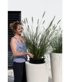 Fleur Ami Polystone-Pflanzgefäß Conical, Konisch, Ca. Ø43/H80 Cm 11 Fleur Ami Polystone-Pflanzgefäß Conical, Konisch, Ca. Ø43/H80 Cm -Biohort || Compo || Elho Verkäufe 4183984 WE MO 003 PolystPflgef43x80cmCreme