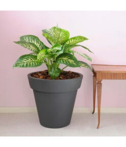 Farmet Kunststoff-Topf-Set Pegasus, Konisch, Anthrazit, 2-teilig -Biohort || Compo || Elho Verkäufe 4185690 WE DE 002 PEGASUSKonischerPflanzkuebelDurchmesser50cm46cmhochDUNKELANTHRAZIT