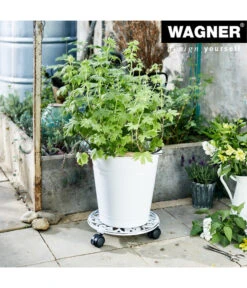 Wagner Pflanzenroller Antik, Ø 29 Cm, Weiß 11 Wagner Pflanzenroller Antik, Ø 29 Cm, Weiß -Biohort || Compo || Elho Verkäufe 4272506 WE MO 001 PflRollerAntikD29CM