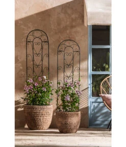 Dehner Terrakotta-Topf Adria, Rund, Antik-terrakotta -Biohort || Compo || Elho Verkäufe 4272530 WE MO 003 TerrakottaTopfterrakottaantik