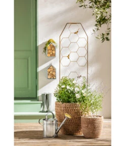 Dehner Terrakotta-Topf Adria, Rund, Antik-terrakotta -Biohort || Compo || Elho Verkäufe 4272530 WE MO 005 DehnerTerrakottaTopfterrakottaantik