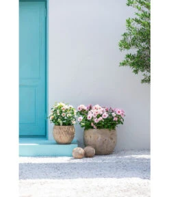 Dehner Terrakotta-Topf Imperia, Rund, Antik-terrakotta -Biohort || Compo || Elho Verkäufe 4272639 4272670 WE MO 003 DehnerTerrakottaTopf