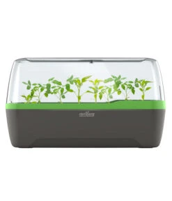 Romberg BoQube Gewächshaus -Biohort || Compo || Elho Verkäufe 4299970 WE FS 005 RombergGewaechshausZimmergewaechshausAnzucht