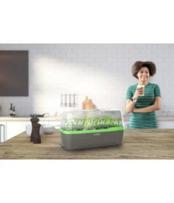 Romberg BoQube Gewächshaus -Biohort || Compo || Elho Verkäufe 4299970 WE MO 001 RombergGewaechshausZimmergewaechshausAnzucht