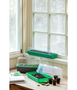 Romberg BoQube Gewächshaus -Biohort || Compo || Elho Verkäufe 4299970 WE MO 004 BoQubeZimmergewaechshaus 1