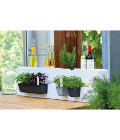 Geli Kunststoff-Pflanzkasten Easy -Biohort || Compo || Elho Verkäufe 4314415 4314472 4314530 WE MO 003 GeliKunststoffTopfEasyBlumentopfPflanztopfPalettentopf