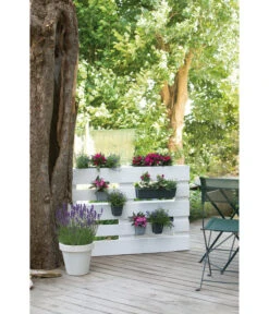 Geli Kunststoff-Pflanzkasten Easy -Biohort || Compo || Elho Verkäufe 4314415 4314472 4314530 WE MO 005 GeliKunststoffTopfEasyBlumentopfPflanztopfPalettentopf