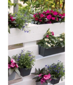 Geli Kunststoff-Pflanzkasten Easy -Biohort || Compo || Elho Verkäufe 4314415 4314472 4314530 WE MO 007 GeliKunststoffTopfEasyBlumentopfPflanztopfPalettentopf