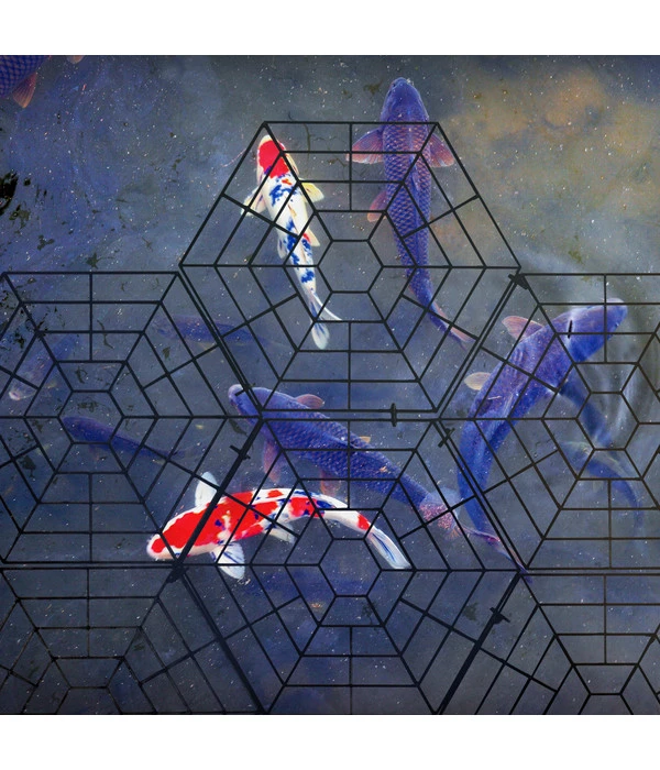 Gardigo Teichschutz 7 Gardigo Teichschutz – Bild 5