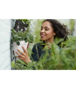 Elho Metall-Wandgitter Für Töpfe Loft Urban Green Wall Gestell, Ca. B47,3/H59/T1,5 Cm, Schwarz 36 Elho Metall-Wandgitter Für Töpfe Loft Urban Green Wall Gestell, Ca. B47,3/H59/T1,5 Cm, Schwarz -Biohort || Compo || Elho Verkäufe 4315917 4315677 WE MO 008 elhoMetallWandgitterWandhaengetopf