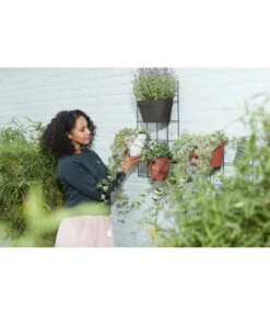 Elho Metall-Wandgitter Für Töpfe Loft Urban Green Wall Gestell, Ca. B47,3/H59/T1,5 Cm, Schwarz 24 Elho Metall-Wandgitter Für Töpfe Loft Urban Green Wall Gestell, Ca. B47,3/H59/T1,5 Cm, Schwarz -Biohort || Compo || Elho Verkäufe 4315917 WE MO 003 elhoMetallWandgitterfuerToepfeBlumentopfurbangardening