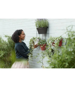 Elho Metall-Wandgitter Für Töpfe Loft Urban Green Wall Gestell, Ca. B47,3/H59/T1,5 Cm, Schwarz 27 Elho Metall-Wandgitter Für Töpfe Loft Urban Green Wall Gestell, Ca. B47,3/H59/T1,5 Cm, Schwarz -Biohort || Compo || Elho Verkäufe 4315917 WE MO 004 elhoMetallWandgitterfuerToepfeBlumentopfurbangardening