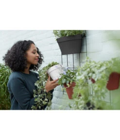 Elho Metall-Wandgitter Für Töpfe Loft Urban Green Wall Gestell, Ca. B47,3/H59/T1,5 Cm, Schwarz 25 Elho Metall-Wandgitter Für Töpfe Loft Urban Green Wall Gestell, Ca. B47,3/H59/T1,5 Cm, Schwarz -Biohort || Compo || Elho Verkäufe 4315917 WE MO 005 elhoMetallWandgitterfuerToepfeBlumentopfurbangardening