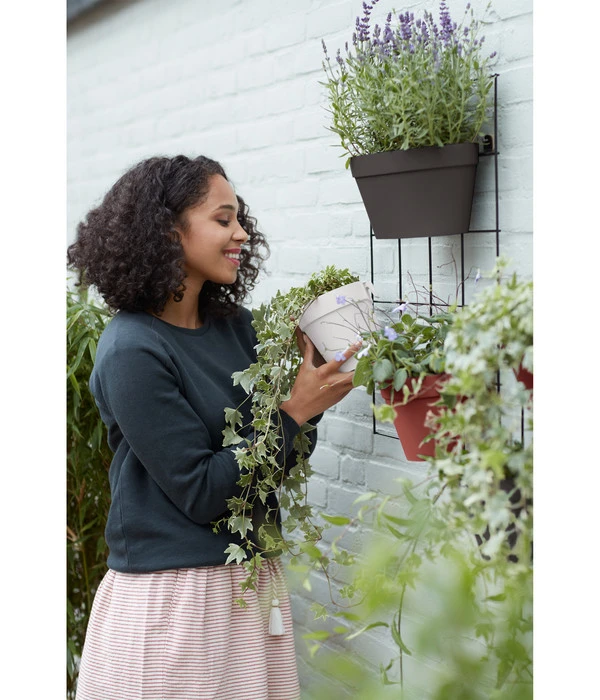 Elho Metall-Wandgitter Für Töpfe Loft Urban Green Wall Gestell, Ca. B47,3/H59/T1,5 Cm, Schwarz 12 Elho Metall-Wandgitter Für Töpfe Loft Urban Green Wall Gestell, Ca. B47,3/H59/T1,5 Cm, Schwarz – Bild 10