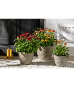 Dehner Leichtbeton-Topf Prunus, Graubraun 9 Dehner Leichtbeton-Topf Prunus, Graubraun -Biohort || Compo || Elho Verkäufe 4440772 WE MO 001 DehnerLeichtbetonTopfPrunus