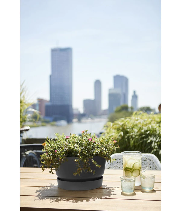 Elho Kunststoff-Schale Greenville, Ca. Ø33/H19,5 Cm 4 Elho Kunststoff-Schale Greenville, Ca. Ø33/H19,5 Cm – Bild 2