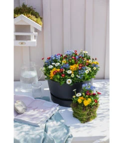 Elho Kunststoff-Schale Greenville, Ca. Ø33/H19,5 Cm 9 Elho Kunststoff-Schale Greenville, Ca. Ø33/H19,5 Cm -Biohort || Compo || Elho Verkäufe 4474292 WE MO 002 elhoKunststoffSchaleGreenville