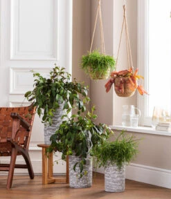 Dehner Keramik-Vase Toni, Rund, Grau -Biohort || Compo || Elho Verkäufe 4484705 WE MO 001 AmpelvaseToni 4484713 6759393