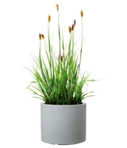 Scheurich Kunststoff-Topf Riva, Rund 13 Scheurich Kunststoff-Topf Riva, Rund -Biohort || Compo || Elho Verkäufe 4498838 WE FS 003 ScheurichKunststoffTopfRivarund