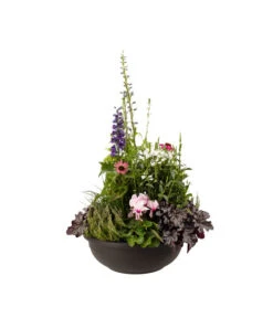 Vasar Kunststoff-Schale Aurora, Rund, Terrakotta -Biohort || Compo || Elho Verkäufe 5187752 BildFS 001 KunststoffschaleAuroraBraunBepflanztHerbstGross