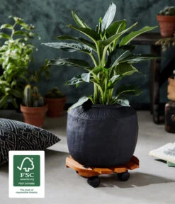 Wagner Pflanzroller Country, Ø 30 Cm -Biohort || Compo || Elho Verkäufe 5230057 WE MO 002 MULTIROLLERCOUNTRY