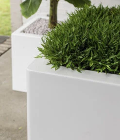 Fleur Ami Kunststoff-Topf New Tribeca, Quadratisch, Weiß -Biohort || Compo || Elho Verkäufe 6600035 WE DE 002 fleuramiKunststoffTopfTribecaBlockquadratisch