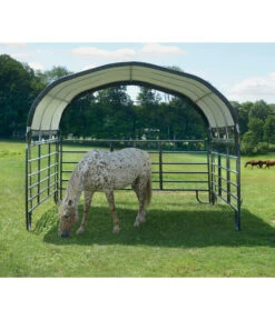 Shelter Logic Pferdestallüberdachung, Ca. B370/H160/T370 Cm -Biohort || Compo || Elho Verkäufe 6610422 WE MO 003 50NorthWeidezelt done