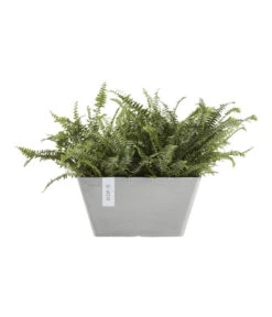 Ecopots Kunststoff-Topf Berlin, Quadratisch -Biohort || Compo || Elho Verkäufe 6615009 WE FS 003 EcopotsKunststoffTopfBerlinquadratisch