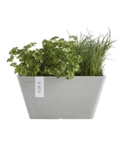 Ecopots Kunststoff-Topf Berlin, Quadratisch -Biohort || Compo || Elho Verkäufe 6615009 WE FS 004 EcopotsKunststoffTopfBerlinquadratisch