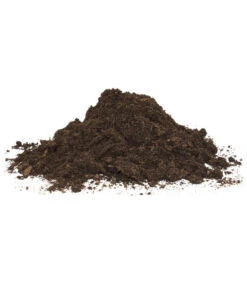 Floragard Aktiv Grünpflanzen- Und Palmenerde -Biohort || Compo || Elho Verkäufe 6624308 WE DE 001 FloragardAktivGruenpflanzenundPalmenerde