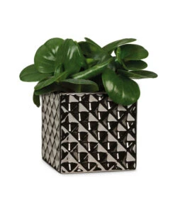 Scheurich Keramik-Übertopf Titanium, Quadratisch, Silber 9 Scheurich Keramik-Übertopf Titanium, Quadratisch, Silber -Biohort || Compo || Elho Verkäufe 6642060 WE FS 003 TopfTataniumSilber