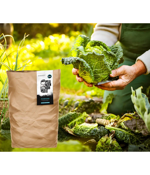 Moola Pflanzenkohle 4 Moola Pflanzenkohle – Bild 2